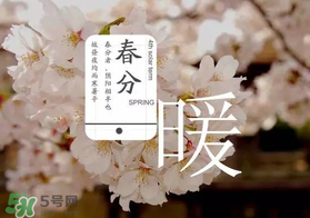 春分種什么菜？春分適合種什么菜？