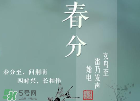 春分種什么菜？春分適合種什么菜？