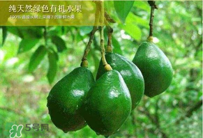 牛油果可以放多久？牛油果放冰箱能放多久？