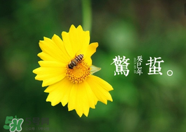 驚蟄前后可以種什么？驚蟄前后種什么蔬菜？