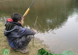 驚蟄能釣魚嗎？驚蟄釣什么魚好？