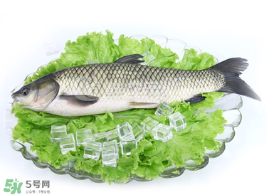 草魚怎么做好吃 草魚怎么做好吃又簡(jiǎn)單
