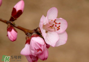 2017年春分是什么時(shí)候？2017年春分是幾月幾號(hào)？