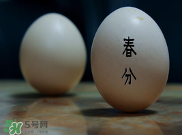 春分為什么能豎蛋？春分豎蛋原理