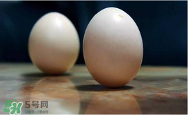春分為什么能豎蛋？春分豎蛋原理