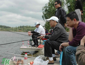 驚蟄過(guò)后好釣魚(yú)嗎？驚蟄后陰雨天好釣魚(yú)嗎？