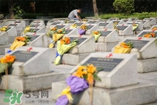 平時(shí)可以去掃墓嗎？平?？梢匀ド蠅瀱幔?></p><h3>平?？梢匀ド蠅瀱?/h3><p>平?？梢匀ド蠅灐＜罀邇x式本應(yīng)親自到塋地去舉行，但由于每家經(jīng)濟(jì)條件和其它條件不一樣，所以祭掃的方式也就有所區(qū)別?！盁ぁ笔羌赖熳嫦鹊闹饕问健Ｋ^“包袱”，亦作“包裹”是指孝屬從陽世寄往“陰間”的郵包。過去，南紙店有賣所謂“包袱皮”，即用白紙糊一大口袋。有兩種形式：一種是用木刻版，把周圍印上梵文音譯的《往生咒》，中間印一蓮座牌位，用來寫上收錢亡人的名諱，如：“已故張府君諱云山老大人”字樣，既是郵包又是牌位。另一種是素包袱皮，不印任何圖案，中間只貼一藍(lán)簽，寫上亡人名諱即可。亦做主牌用。關(guān)于包袱里的冥錢，種類很多。</p><p style=