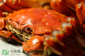 三月份吃什么螃蟹？3月份吃什么螃蟹？