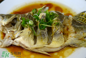 三月份吃什么魚(yú)？3月份吃什么魚(yú)好？