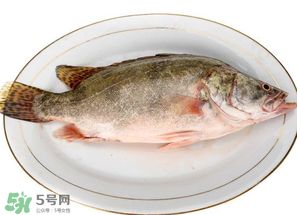 三月份吃什么魚(yú)？3月份吃什么魚(yú)好？