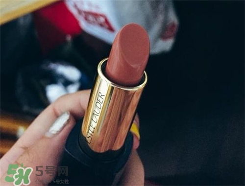 雅詩蘭黛envy110多少錢？雅詩蘭黛傾慕唇膏110價(jià)格