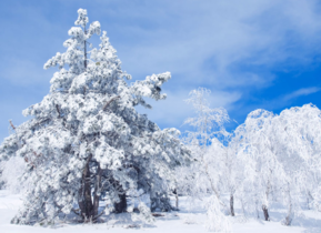 三月份還會(huì)下雪嗎？哈爾濱三月份還有雪嗎？