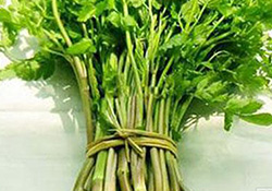 孕婦可以吃野芹菜嗎？孕婦吃野芹菜有什么好處？