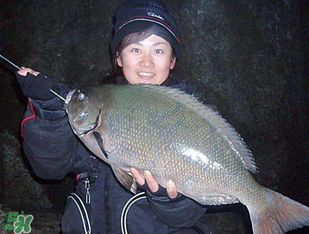 3月份釣魚用什么餌料？三月份釣魚用什么魚餌？