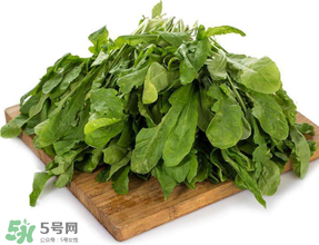 薺菜葉子黃了能吃嗎？薺菜發(fā)黃能吃嗎？