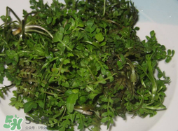 薺菜怎么洗？薺菜怎么洗才干凈？