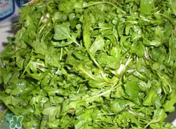 薺菜怎么洗？薺菜怎么洗才干凈？