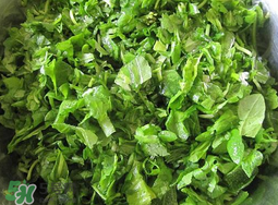 薺菜怎么洗？薺菜怎么洗才干凈？