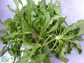 薺菜怎么保鮮？新鮮薺菜如何保鮮？