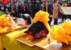 春分可以祭祀嗎？祭祀在春分前還是后？