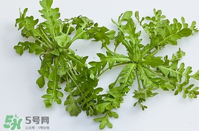 薺菜是什么菜？薺菜是什么野菜？