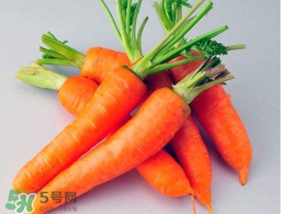 薺菜能和胡蘿卜一起吃嗎？薺菜可以和胡蘿卜一起吃嗎？