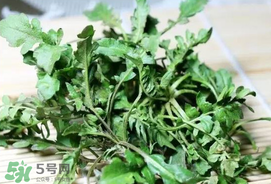 薺菜能和青菜一起吃嗎？薺菜和青菜一起吃好嗎？