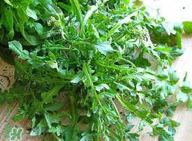 薺菜上有白點能吃嗎？薺菜背面有白點是什么？