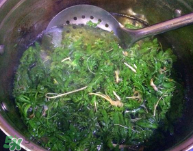 薺菜怎么焯水？薺菜焯水多久？