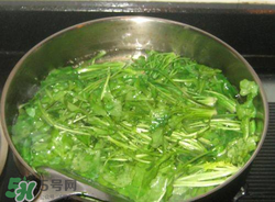 薺菜焯水后冷凍好嗎？薺菜焯水后能放多久？