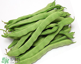 三月份可以種豆角嗎？豆角幾月份種？