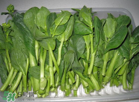 青菜苔可以吃嗎？青菜苔怎么做好吃？