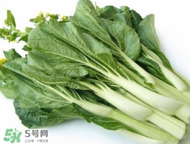 青菜苔可以吃嗎？青菜苔怎么做好吃？