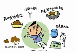 諾如病毒感染要隔離嗎？諾如病毒會傳染嗎？