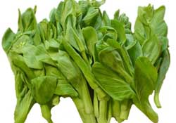 青菜苔可以吃嗎？青菜苔怎么做好吃？
