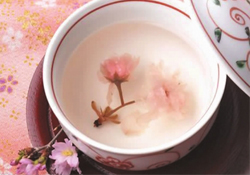 桃花酒孕婦可以喝嗎？懷孕了能喝桃花酒嗎？