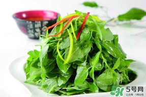 薺菜不能和什么一起吃？薺菜和什么相克？