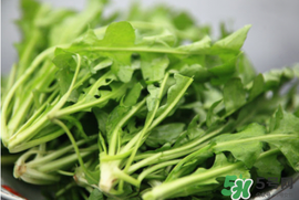 薺菜不能和什么一起吃？薺菜和什么相克？