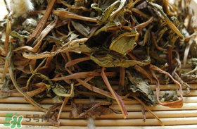 干的蒲公英多少錢一斤？蒲公英多少錢一斤干的？