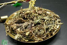 干的蒲公英多少錢一斤？蒲公英多少錢一斤干的？