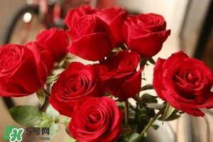 什么東西清火效果好？什么東西清火最快？
