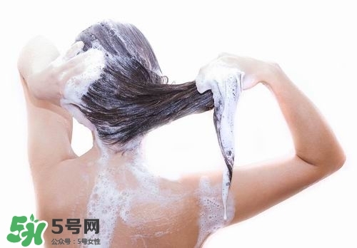 洗頭發(fā)掉頭發(fā)怎么辦？掉頭發(fā)應該怎么做？