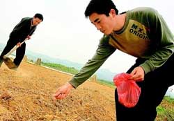 三月份可以種花生嗎？花生幾月份播種比較好？