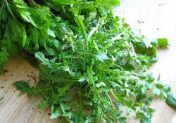 薺菜不能和什么一起吃？薺菜和什么相克？