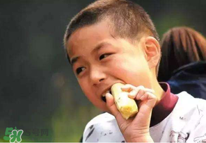 春天能吃甘蔗嗎？春天吃甘蔗有什么好處？