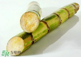 春天能吃甘蔗嗎？春天吃甘蔗有什么好處？