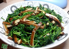 薺菜吃多了會中毒嗎？吃薺菜中毒怎么辦？