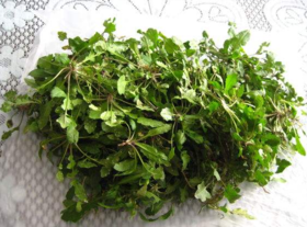 野生薺菜幾月份有？野生薺菜什么時候有？