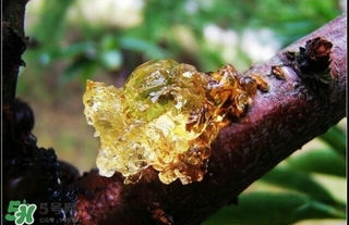 吃什么對(duì)皮膚好？怎么吃皮膚好？