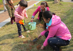植樹(shù)節(jié)一般種什么樹(shù)？植樹(shù)節(jié)種什么樹(shù)比較好？